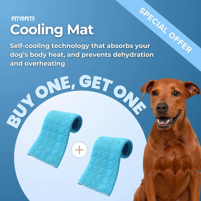 Dog Cooling Mat