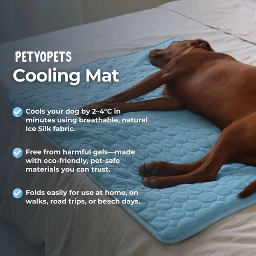 Dog Cooling Mat