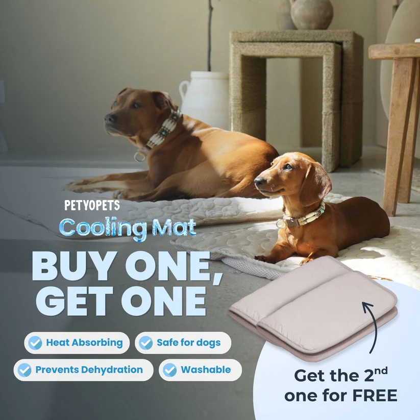 Dog Cooling Mat